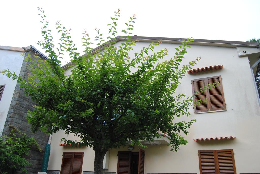 Ferienwohnung Il Susino Tirrenia Exterior foto